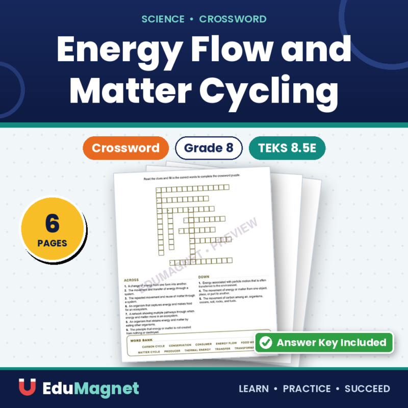 Energy Flow And Matter Cycling (Crossword Worksheets) Grade 8 Science TEKS 8.5E