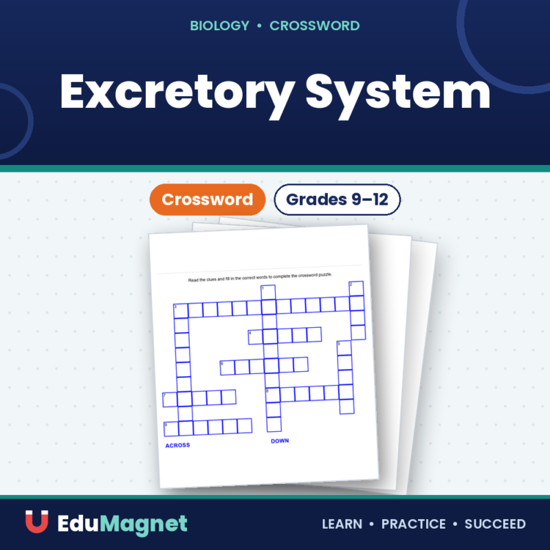 Excretory System Crossword (2)