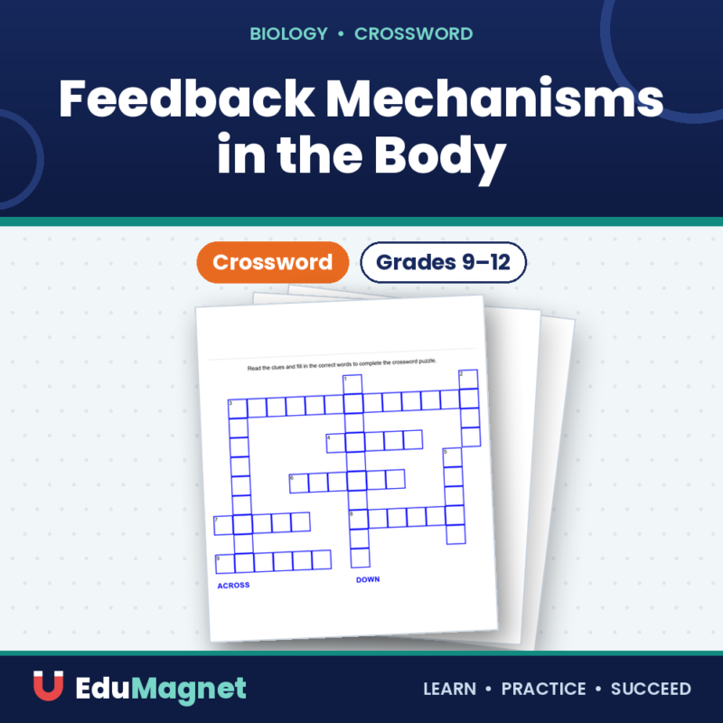 Feedback Mechanisms in the Body ( Crossword Activity ) (1)