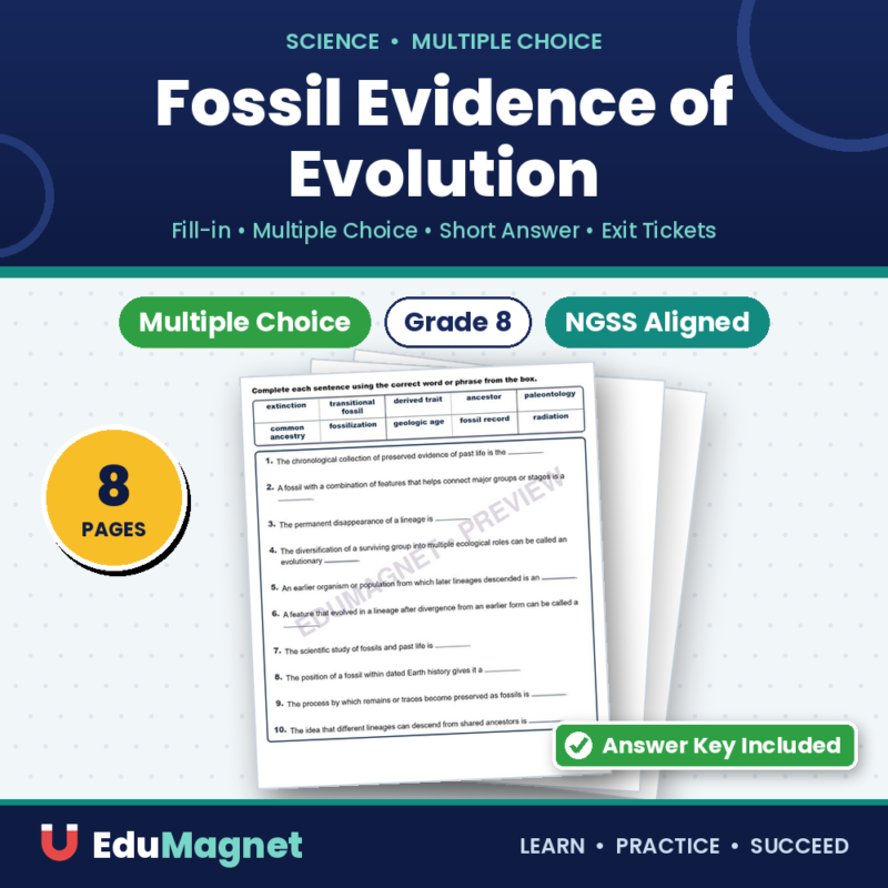 Fossil Evidence Of Evolution Fill MCQ Written Exit Tickets Worksheet NGSS Grade 8
