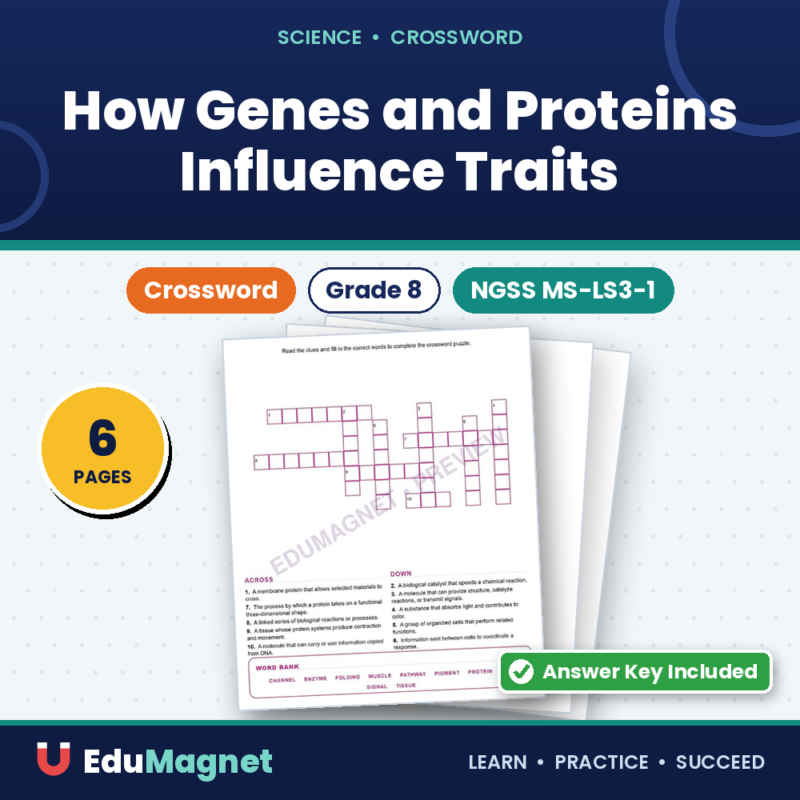 How Genes And Proteins Influence Traits (Crossword Worksheets) NGSS MS LS3 1