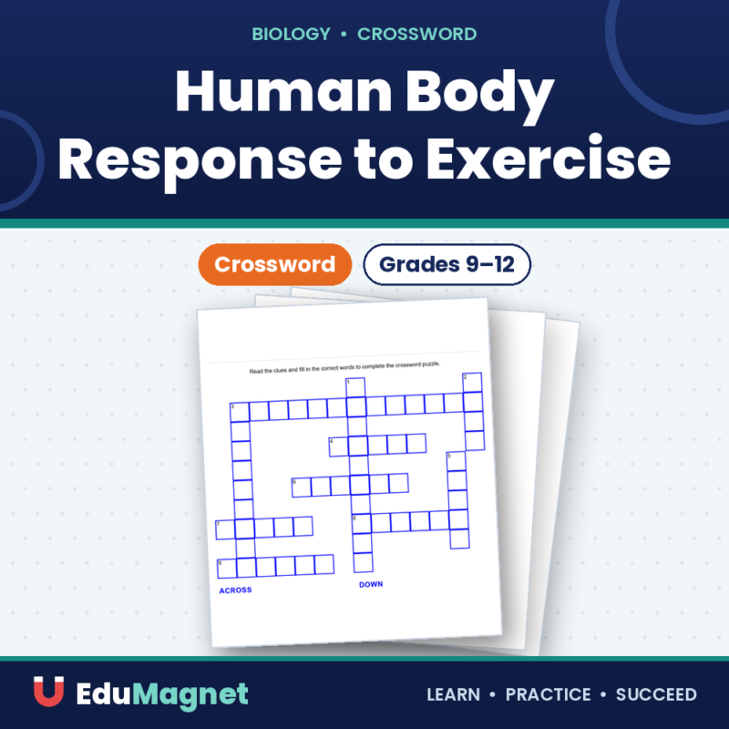 Human Body Response to Exercise ( Crossword Activity ) (1)