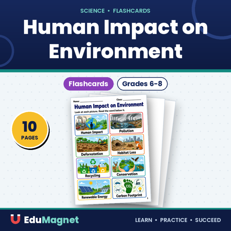 Human Impact on Environment Flashcards Grades 6-8