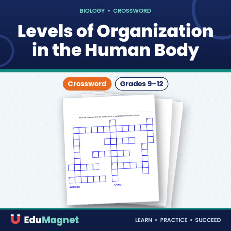 Levels of Organization in the Human Body Crossword (1)