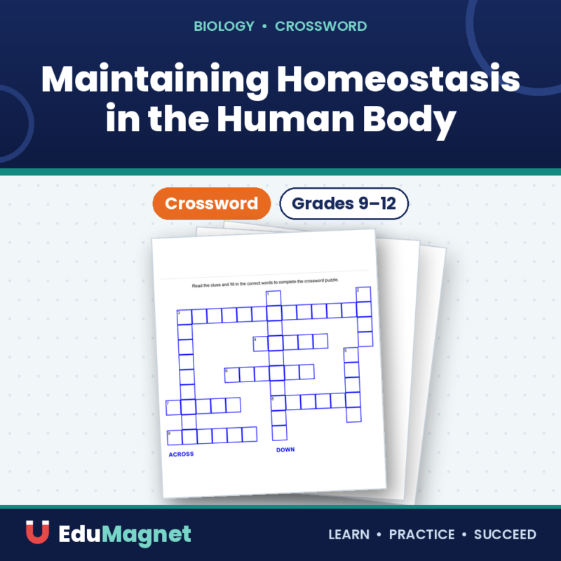Maintaining Homeostasis in the Human Body Crossword