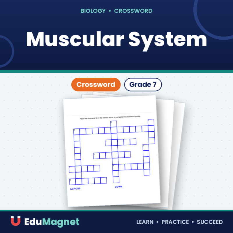 Muscular System Grade 7 ( Crossword Activity ) (1)