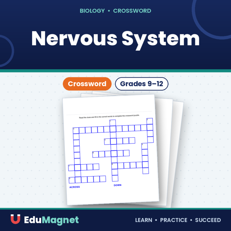 Nervous System Crossword