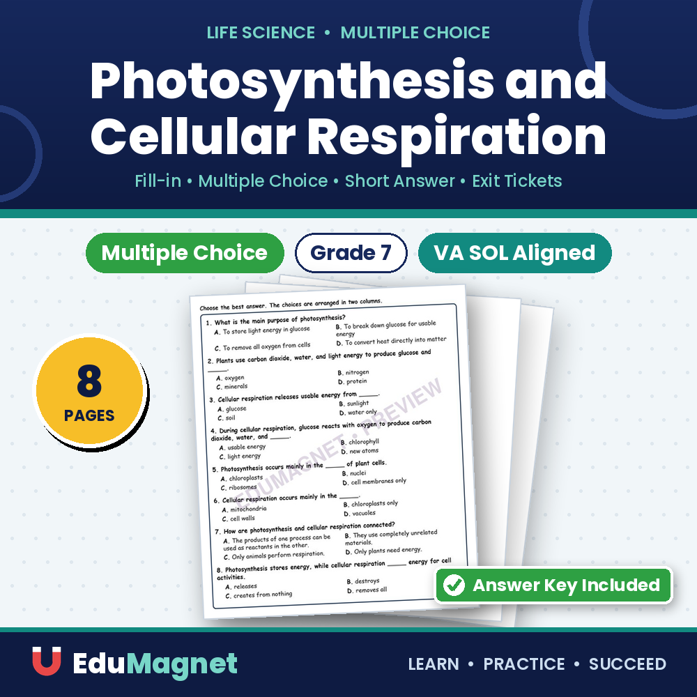 Photosynthesis And Cellular Respiration MCQs Fill Written Exit Tickets Worksheet SOL Life Science