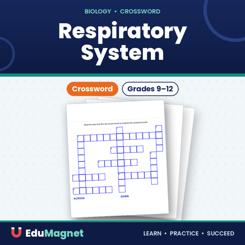 Respiratory System Crossword