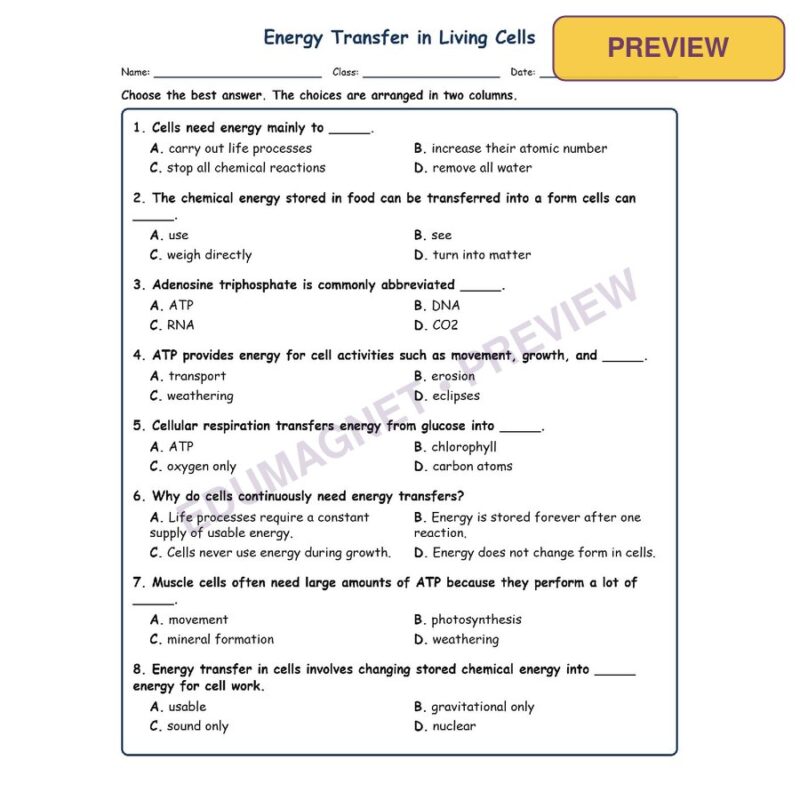 Energy Transfer In MCQs Fill Written Exit Tickets Worksheet SOL Life Science