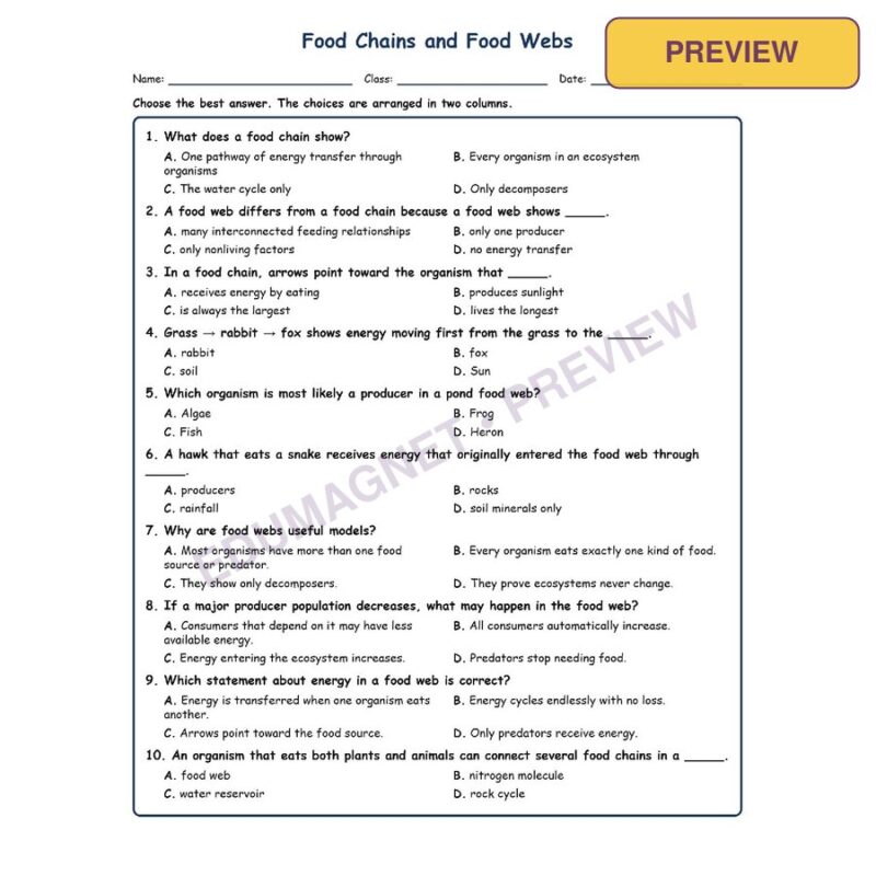 Food Chains And Food Webs MCQ Fill Written Exit Worksheet SOL Life Science