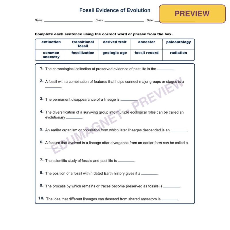 Fossil Evidence Of Evolutio Fill MCQ Written Exit Tickets Worksheet NGSS Grade 8