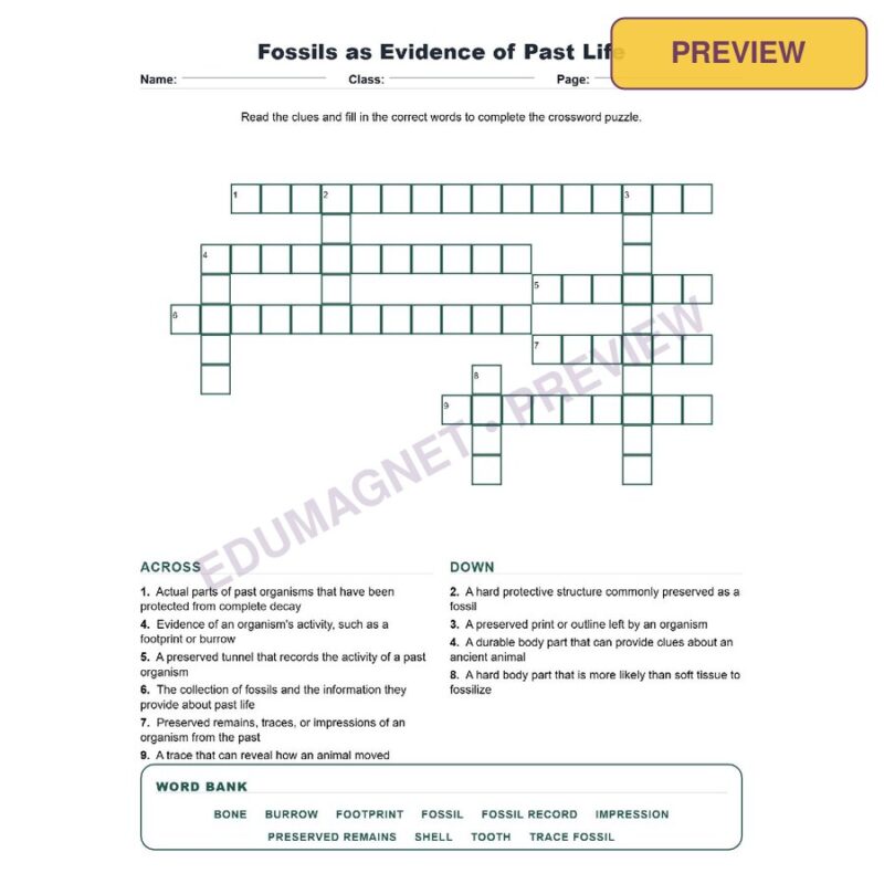 Fossils As Evidence Of Past Life (Crossword Worksheets) Virginia SOL LS.11
