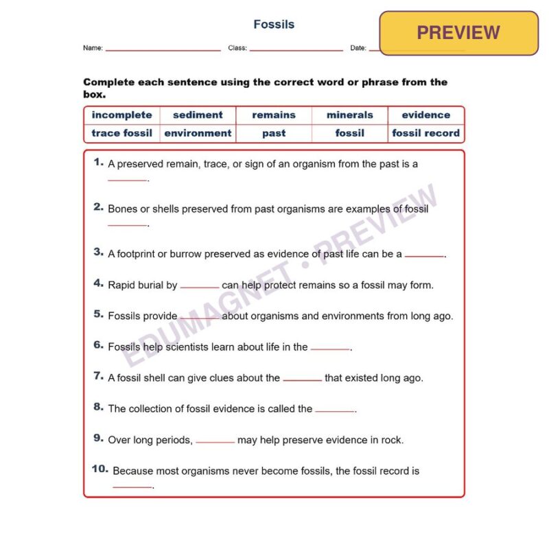 Fossils Fill MCQ Written Exit Tickets Worksheet NGSS Grade 3