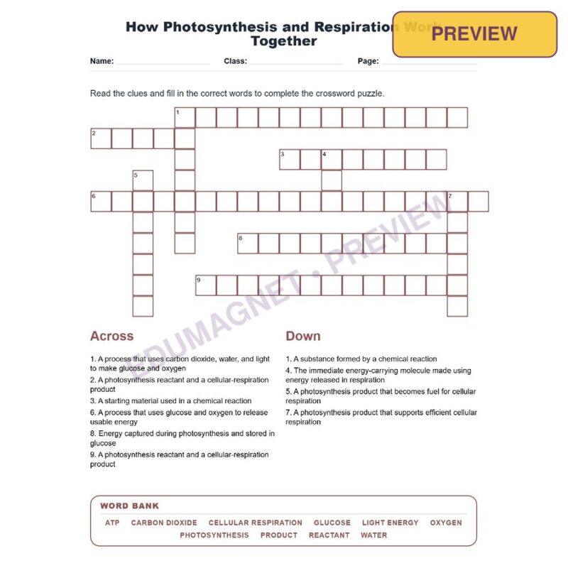 How Photosynthesis And Respiration Work Together (Crossword Worksheets) Virginia SOL LS.4