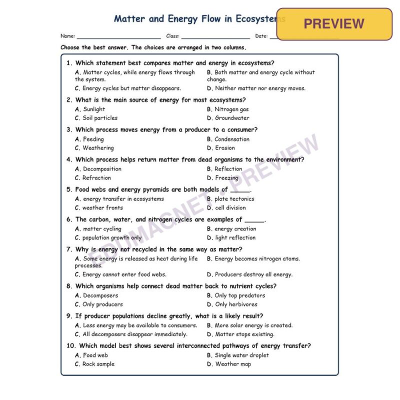 Matter And Energy Flow In Ecosystems MCQ Fill Written Exit Worksheet SOL