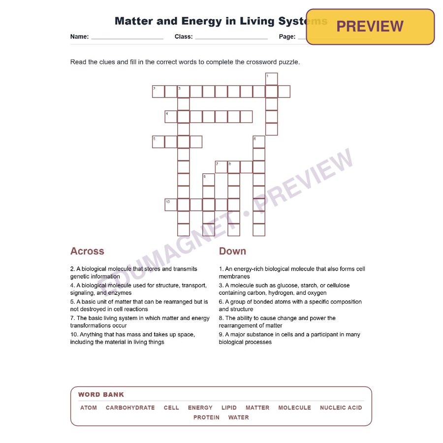 Matter And Energy In Living Systems (Crossword Worksheets) Virginia SOL LS.4