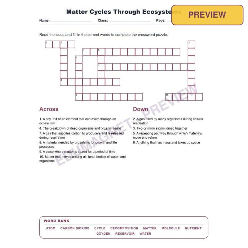 Matter Cycles Through Ecosystems (Crossword Worksheets) Virginia SOL LS.5