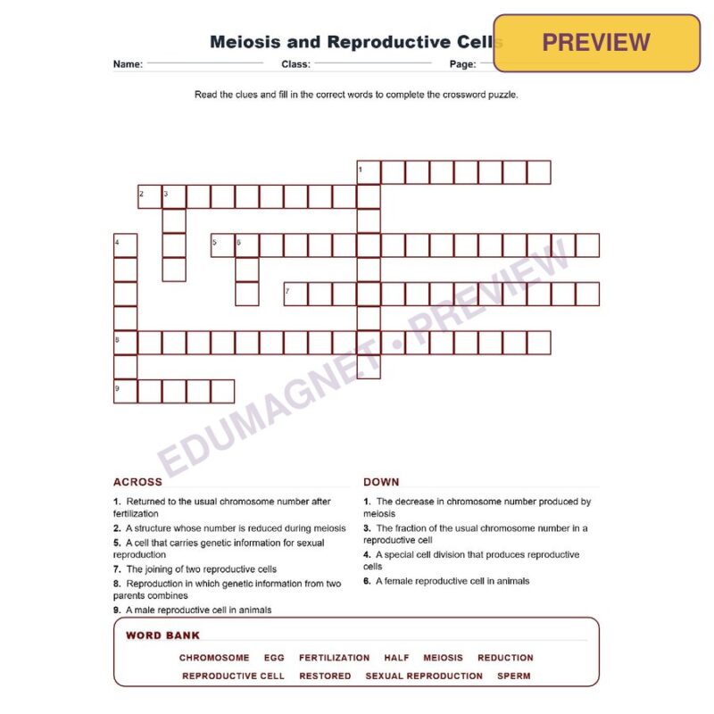 Meiosis And Reproductive Cells (Crossword Worksheets) Virginia SOL LS.10