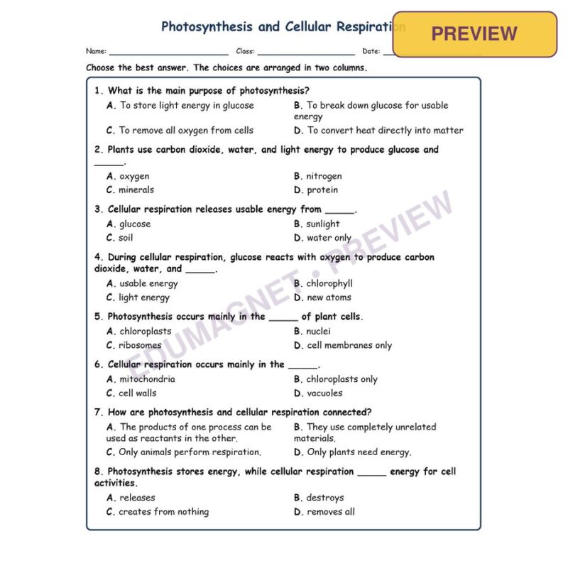 Photosynthesis And MCQs Fill Written Exit Tickets Worksheet SOL Life Science