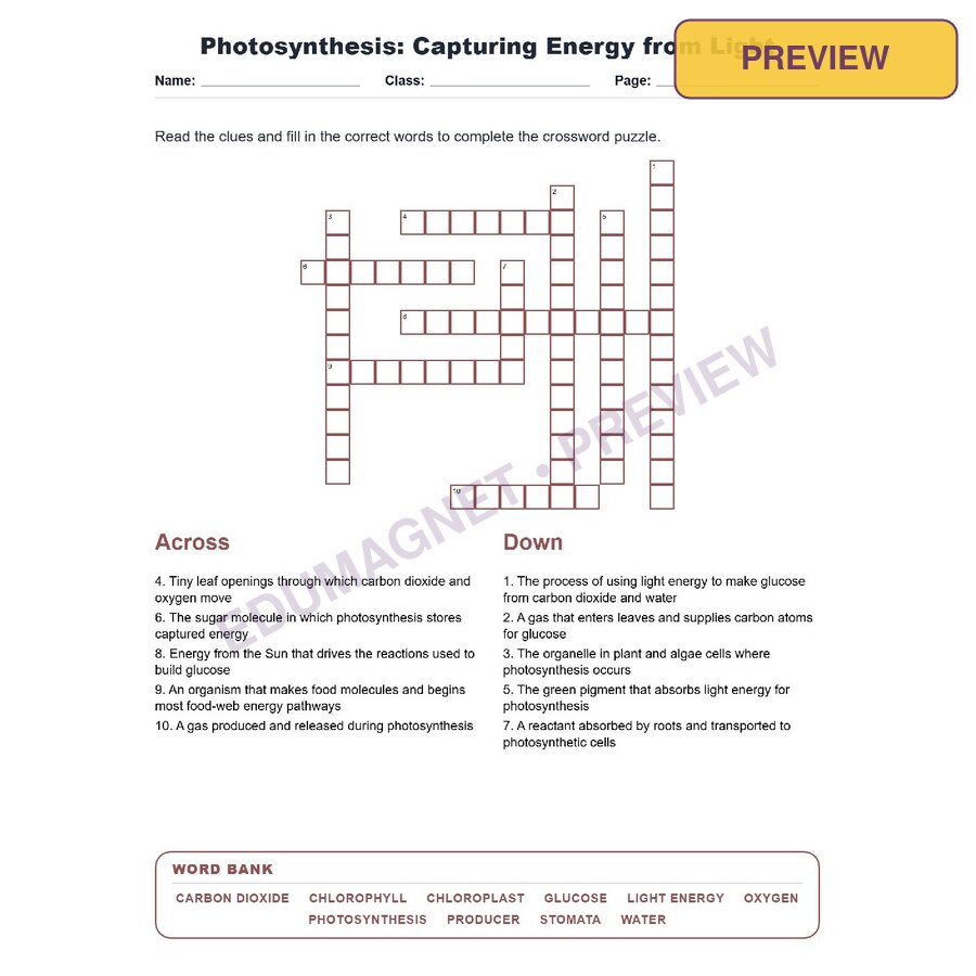 Photosynthesis Capturing Energy From Light (Crossword Worksheets) Virginia SOL LS.4