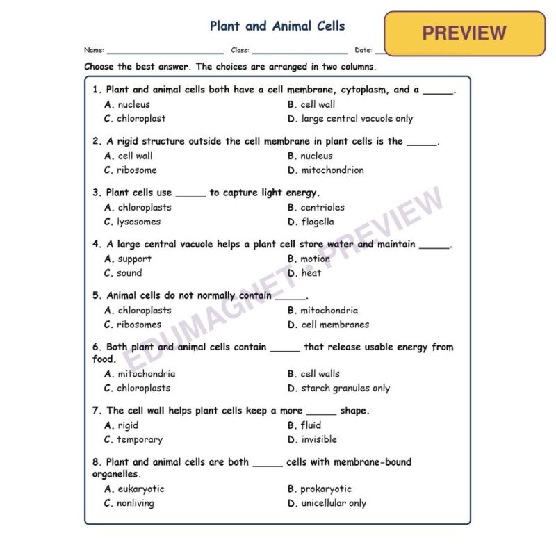Plant And Animal Fill MCQ Written Exit Tickets Worksheet SOL Life Science