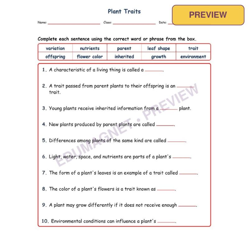 Plant Traits Fill MCQ Written Exit Tickets Worksheet NGSS Grade 3