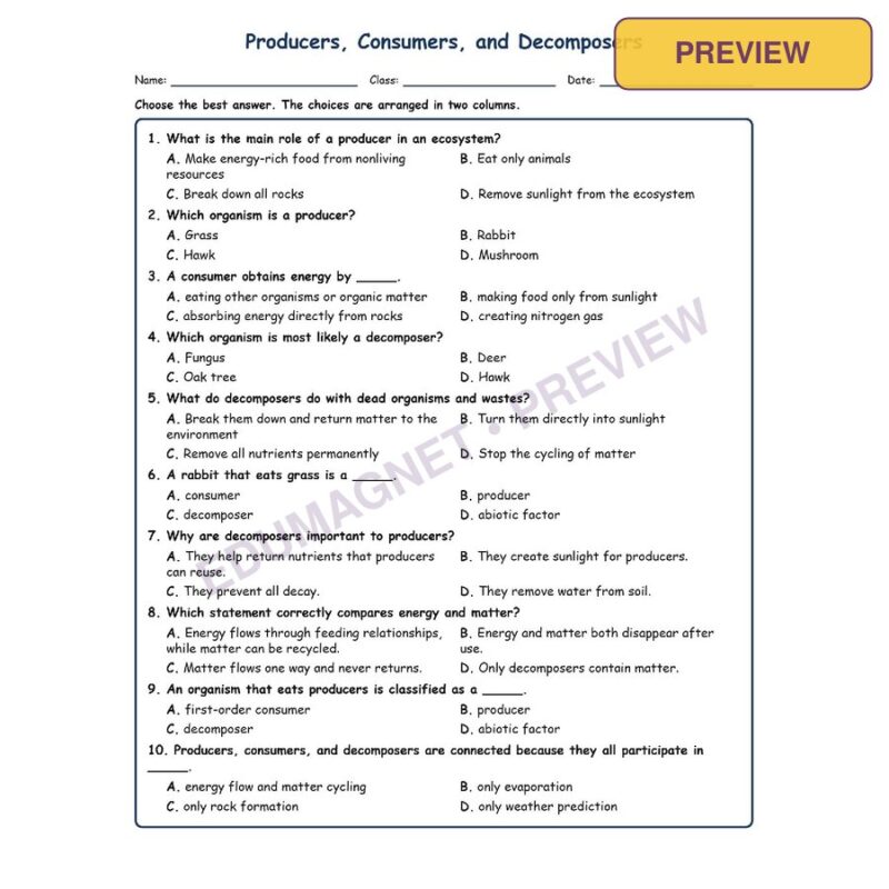 Producers, Consumers, And Decomposers MCQ Fill Written Exit Worksheet SOL
