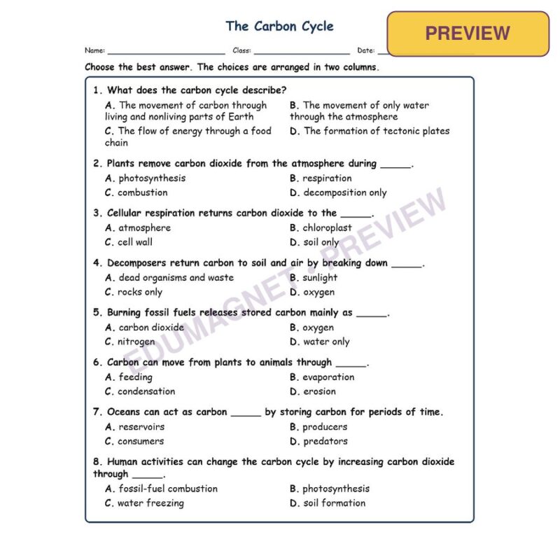 The Carbon Cycle MCQs Fill Written Exit Tickets Worksheet SOL Life Science