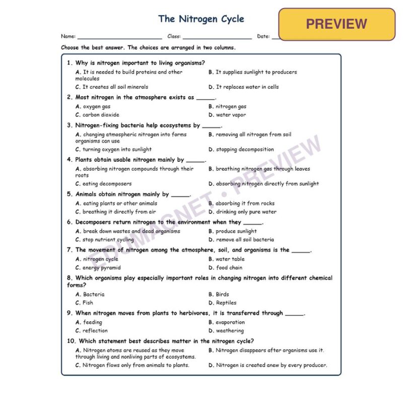 The Nitrogen Cycle MCQ Fill Written Exit Worksheet SOL Life Science