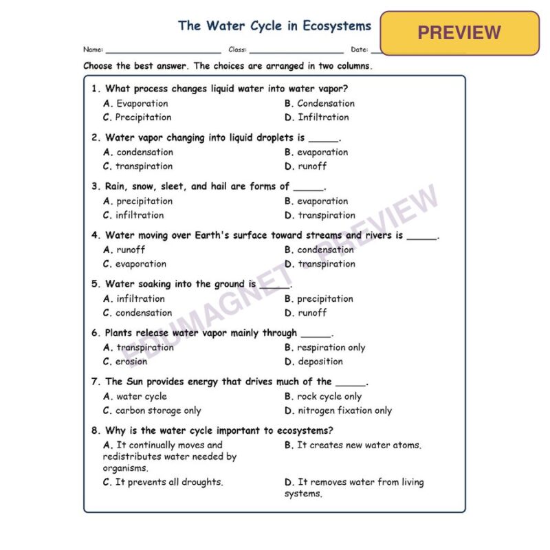 The Water Cycle In MCQs Fill Written Exit Tickets Worksheet SOL Life Science